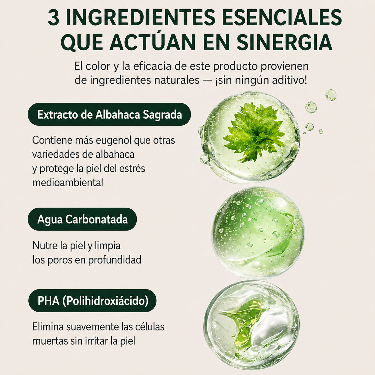 CLÉOVA ® -Holy Basil Detox Intensivo